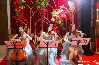 外籍樂隊、小提琴四重奏、爵士樂隊